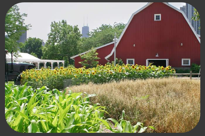 Suttons Bay Farm